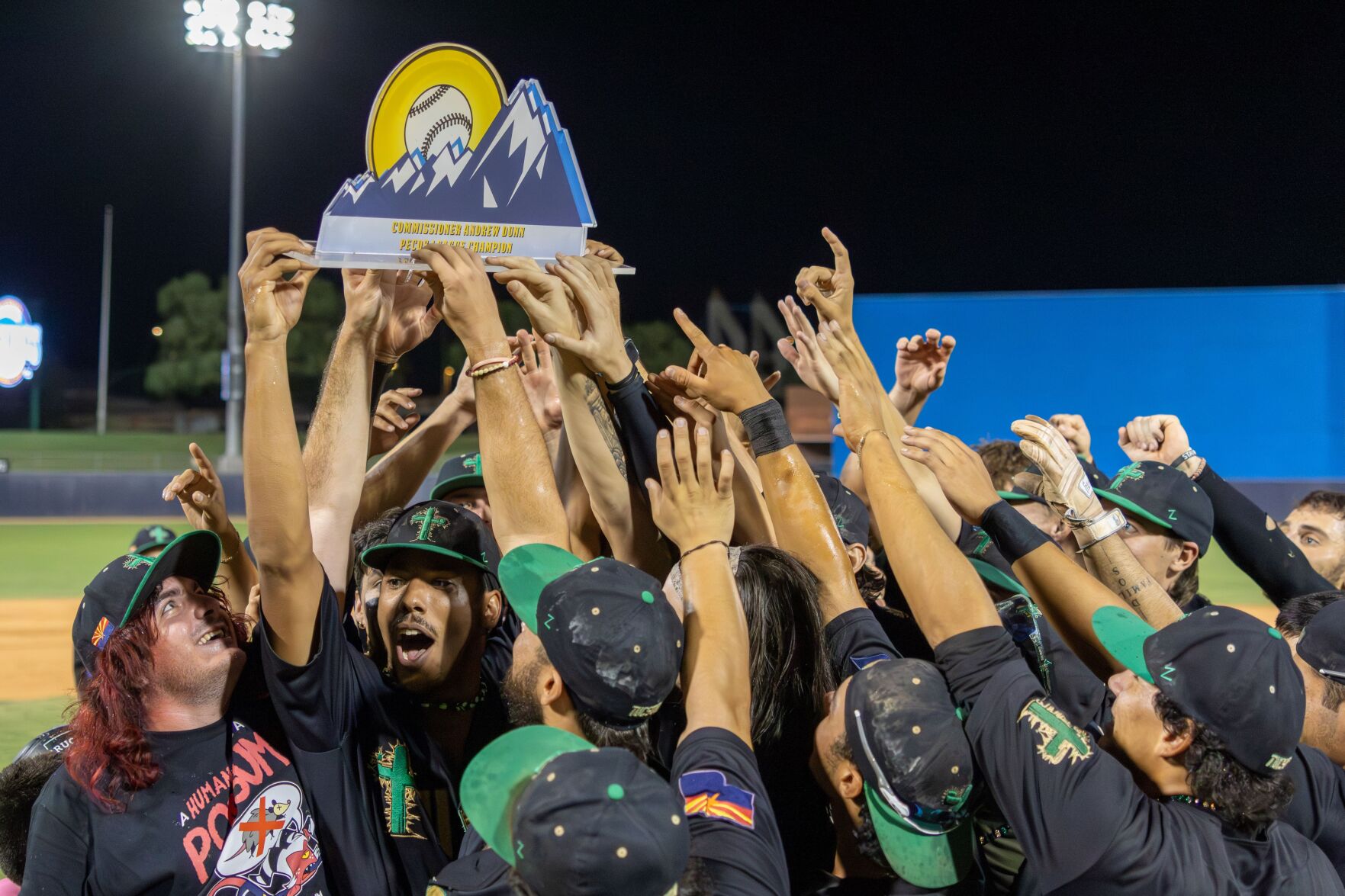 Saguaros p1.jpg